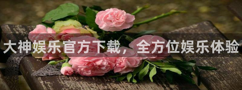 盛煌平台电子游戏