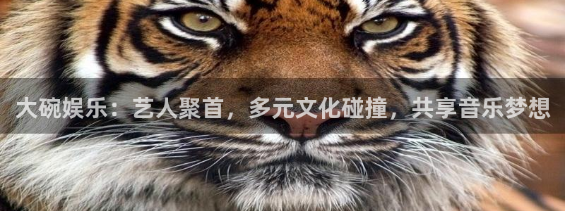 壹号app下载苹果