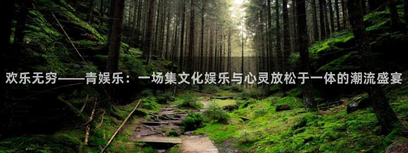 盛煌平台怎么下载