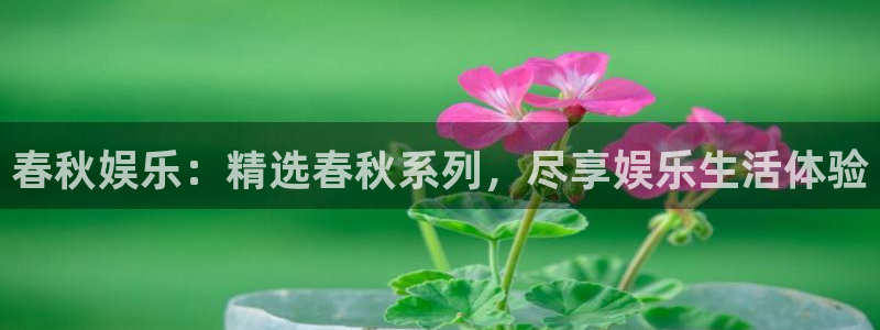 盛煌平台强制退款流程详解