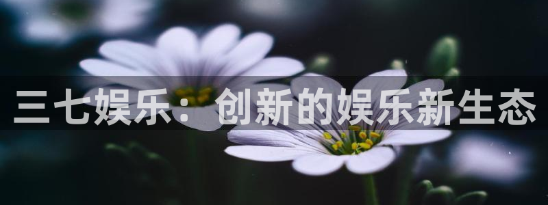 盛煌平台游戏官网平台入口