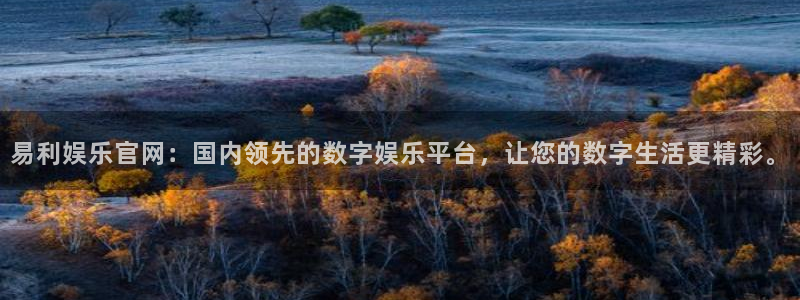 盛煌平台是大平台吗