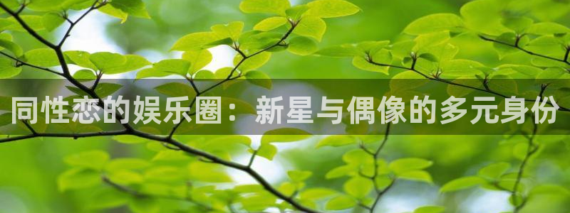盛煌平台官网地址