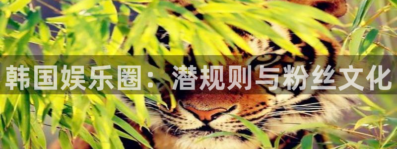 盛煌平台官网