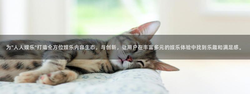 盛煌平台电玩网官网入口