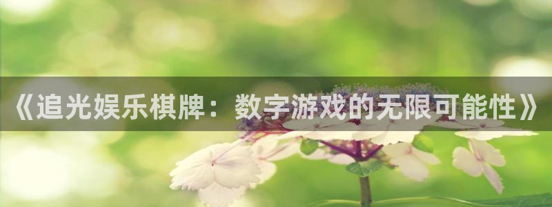 盛煌平台app 是什么