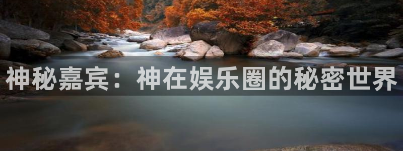 壹号官方app下载安装