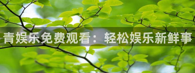 盛煌平台注册链接入口