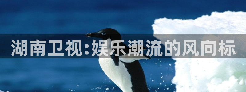 盛煌平台账号注册