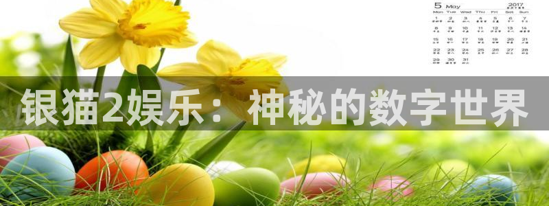 壹号电子娱乐app下载最新版本安装