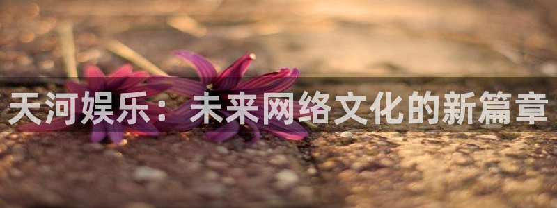 盛煌平台下载链接：天河娱乐：未来网络文化的新篇章