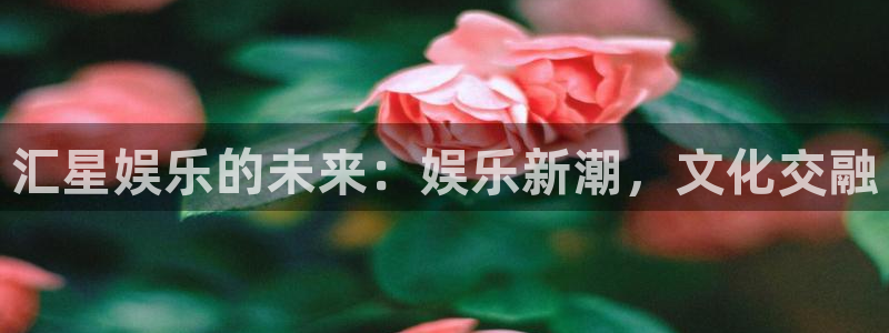 盛煌平台官网地址