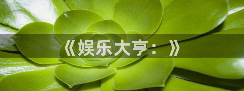 盛煌平台充值怎么退款