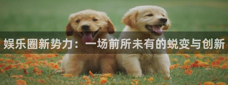 盛煌平台平台app下载安装