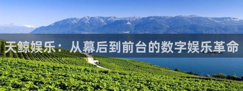 盛煌平台游戏官网版：天鲸娱乐：从幕后到前台的数字娱乐革命