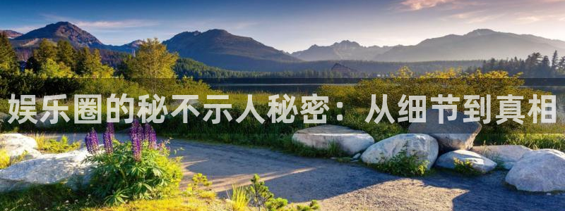 盛煌平台.ccm：娱乐圈的秘不示人秘密：从细节到真相