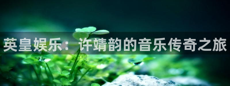 盛煌平台电子娱乐官网下载：英皇娱乐：许靖韵的音乐传奇之旅