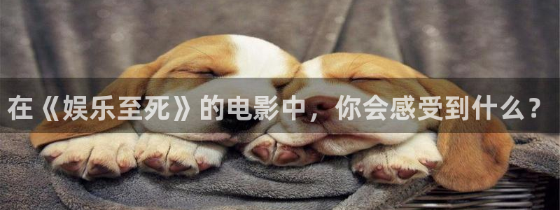 盛煌平台平台最新版本下载：在《娱乐至死》的电影中，你会感受到什么？