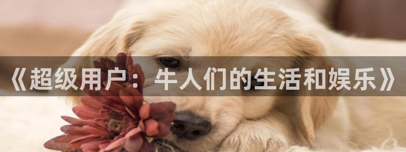 壹号大舞台下载链接：《超级用户：牛人们的生活和娱乐》