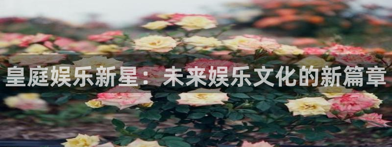 壹号大舞台有梦你就来：皇庭娱乐新星：未来娱乐文化的新篇章