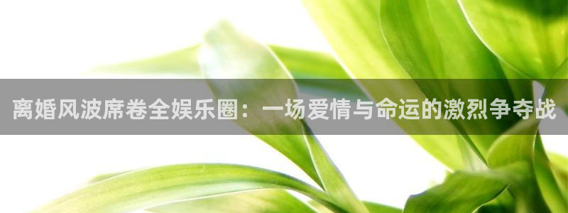 盛煌平台app：离婚风波席卷全娱乐圈：一场爱情与命运的激烈争夺战