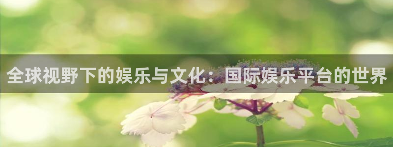 壹号电子娱乐app下载安装最新版本：全球视野下的娱乐与文化：国际娱乐平台的世界